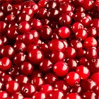 Cranberry