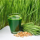 Barley Grass